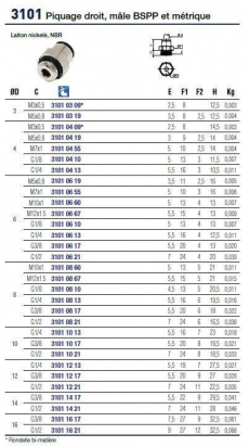 3101 04 13 PIQUAGE DROIT MÂLE BSPP Ø4 G1/4